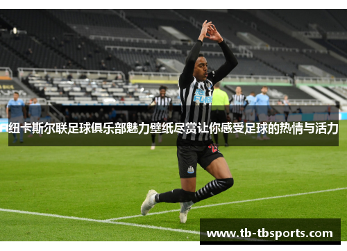 纽卡斯尔联足球俱乐部魅力壁纸尽赏让你感受足球的热情与活力