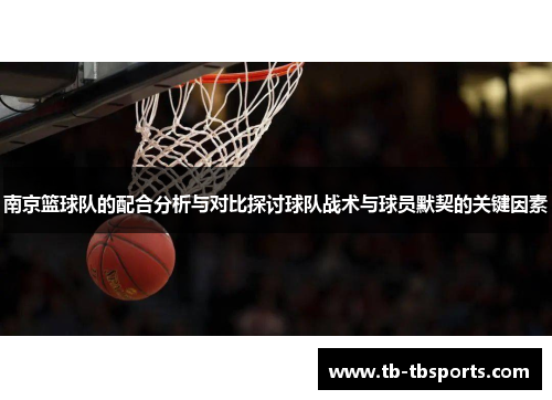 南京篮球队的配合分析与对比探讨球队战术与球员默契的关键因素