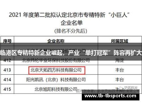 临港区专精特新企业崛起，产业“单打冠军”阵容再扩大
